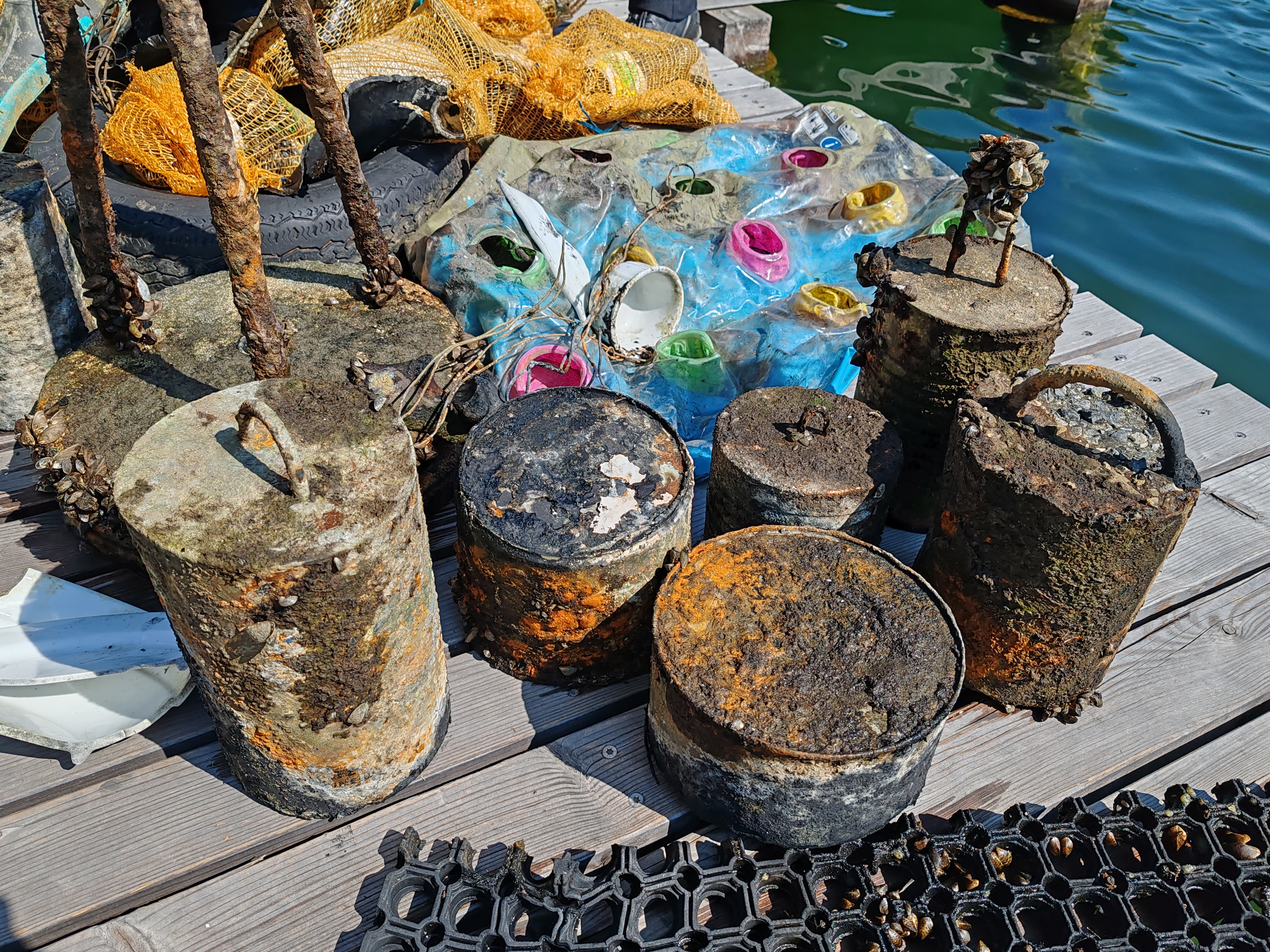 Photo of litter collected from a lake cleanup